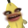 _h1rf4