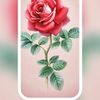 user6055263885526