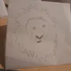 mximo_3232