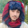 elhamwazir3