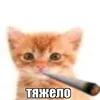 user19360212305942