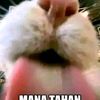 oranghitamhitam6