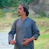 ali.pokhton804