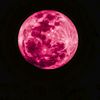 billy_0506
