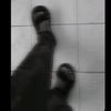 whyd_11.7
