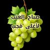 user4998103599727
