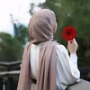 reh_ana5