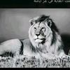 www.cabdirashid.sufi.com