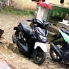 halput6