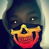 tiarastecus_