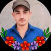 usman.dill.us