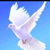 weyfan.xohaye