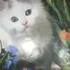 oumnourkha2