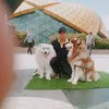 vn.thy0182