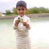 asad.khan2273