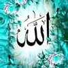 mahmoud.al.raheel