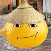 lemons_man