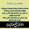 jamilaamri479