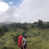 jarkawiii