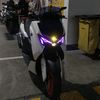 yoelc530