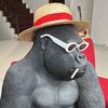 pedro69_8