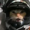 aerominzz