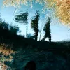 alilflow05