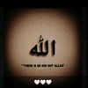 user53449919565161