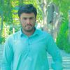 shamsher.ali8349