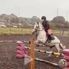 pony4everandever