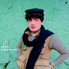 ilive.u.jane