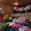 nouhaila200668