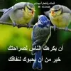 user42419813318571