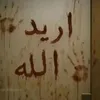 tem_255