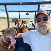 browndogs3