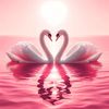 linoy311115878110