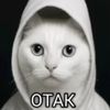 naimit7