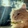 missowhb