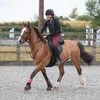 gemma_higham