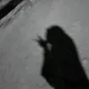 qwwwqwww68