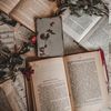 booktok.com23
