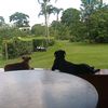 gilberto.castano92