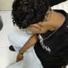 dinizzfiel
