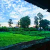 trong.phung45