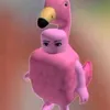 kyriedump2
