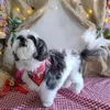 betovemeucachorro