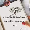 user8208835712979
