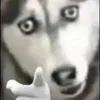 vmtrimouse