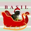 basil.the.gcc