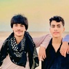 hafeezbaloch6017